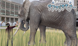 GWのデックス東京ビーチにアニマル召喚XR「サファリサモナー」が登場！